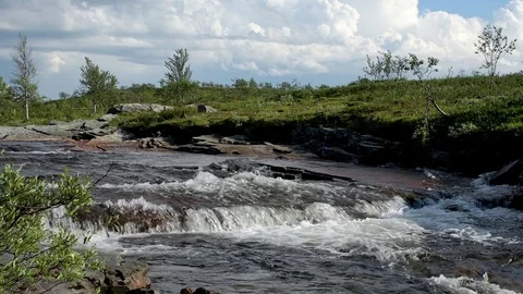 River stream with tiny waterfall Video stock 79526031