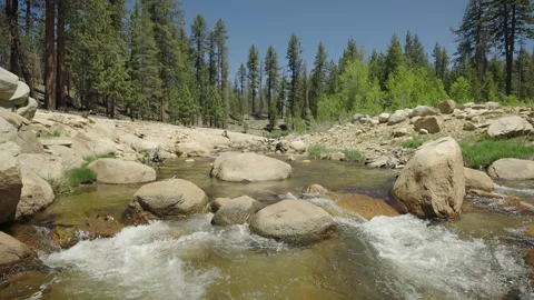 River stream trees handheld wide 4k Video stock 314924657