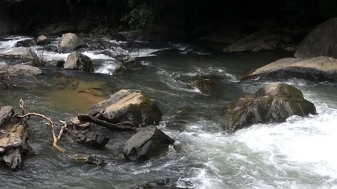 River stream in the tropical forest Stock Footage 83178389
