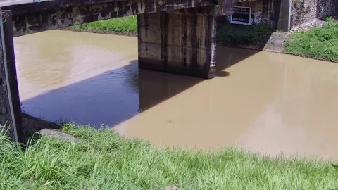River stream under the bridge Stock Footage 167537992