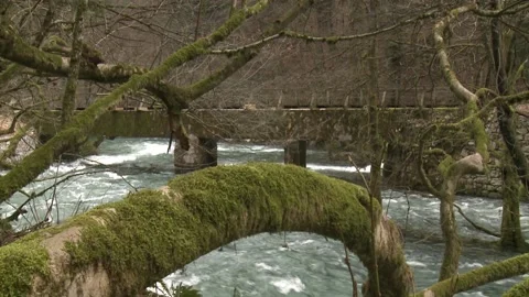 River stream under the old bridge Stock Footage 143697656
