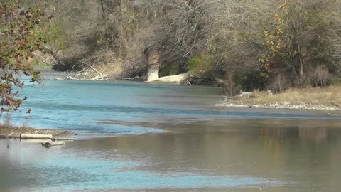 River Stream Upclose Stock Footage 123619238