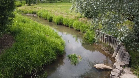 River stream view with green grass besides Stock Footage 114078992