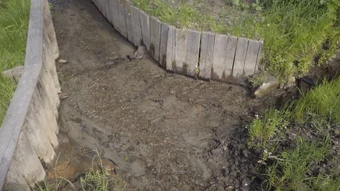 River stream view with green grass besides Stock Footage 114080165