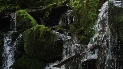 River Stream, Water Fall over Rocks, Green Forest Rocks. Consequences of melting Stock Footage 208890483