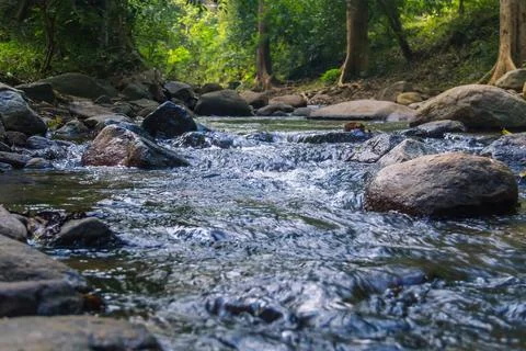 River stream waterfall in forest landscape natural light Stockfoto's
