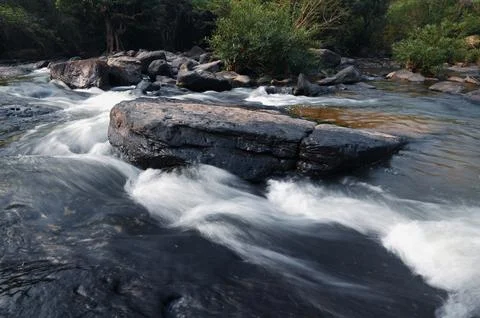 River stream waterfall in forest landscape, beautiful nature water stream w.. Stock Photos