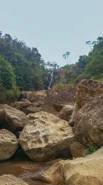 River stream waterfall in forest landscape, beautiful nature water stream w.. Stock Photos