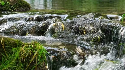 River stream waterfall. Tranquil scenery in the middle of green forest Stock Footage 161779290