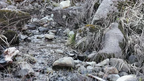 River stream1 스톡 동영상 236598574
