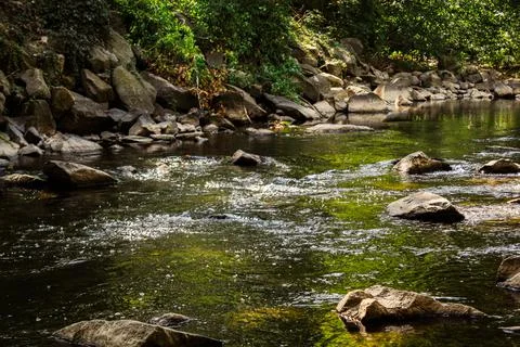 River streaming Stock Photos