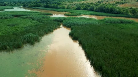 River streaming through beautiful landscape in background, nature in Bulgaria	 Stockbeeldmateriaal 229414217