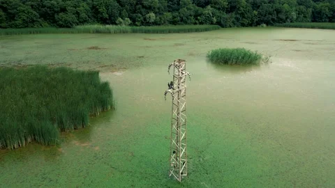 River streaming through beautiful landscape in background, nature in Bulgaria	 스톡 동영상 229414604