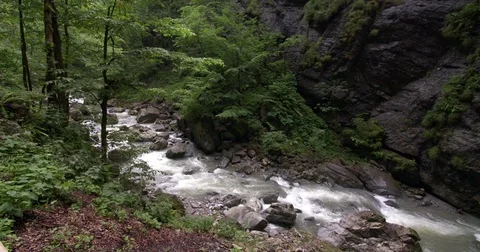 River streaming through forest ravine, nature in Austria, panning shot Stock Footage 79062519