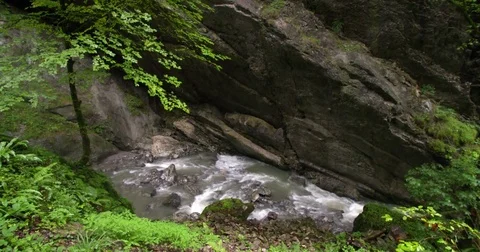 River streaming through ravine Austria, tilting shot from rocks Stock Footage 79075707