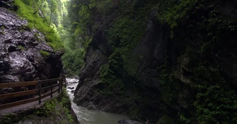River streaming through ravine, nature scenery in Austria Stock Footage 79061785