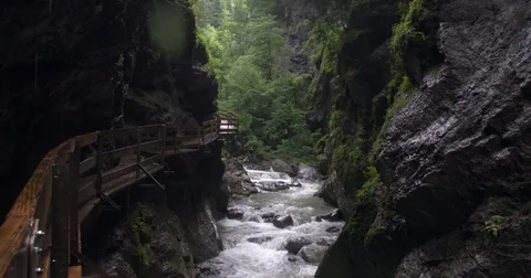 River streaming through ravine, nature in Austria Stock Footage 79062101