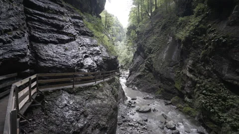 River Streaming Through Ravine, Nature Scenery In Austria Stock Footage 266240387