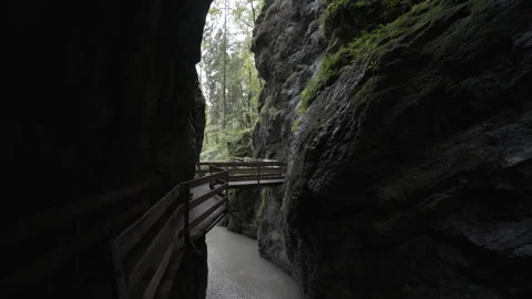River Streaming Through Ravine, Nature Scenery In Austria Stock Footage 266242109