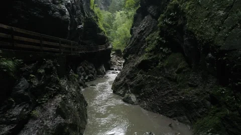 River Streaming Through Ravine, Nature Scenery In Austria Stock Footage 266259603