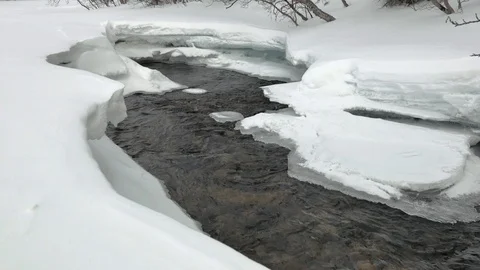 River streams begin to flow between snow drifts in forest Video stock 109115400
