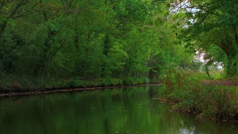 River stretching between forest banks reflecting green foliage on water surface Stock Footage 326156648