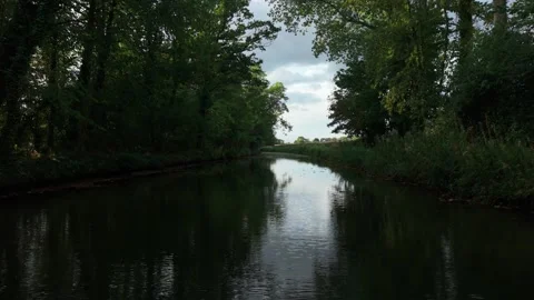 River stretching through forest with reflection of cloudy sky in water. Wild Stock Footage 318899600