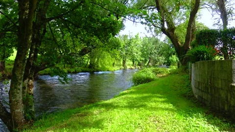 River with a strong current in the park Ireland Stock Footage 230170223