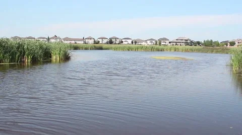 River in Suburban Area Stock Footage 40632405