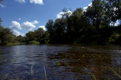 River on a summer day. Foto stock