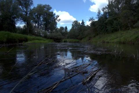 River on a summer day. Foto stock