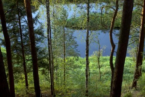 River on a summer evening. Foto stock