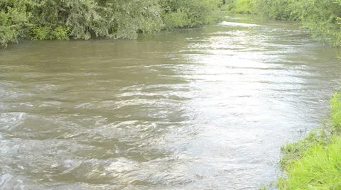 River in summer Stock Footage 24769660