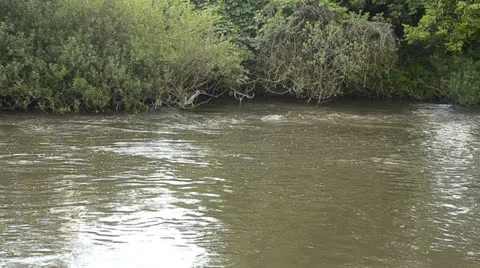 River in summer Stock Footage 24769678