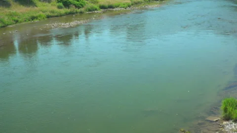 River in summer Stock Footage 144492623