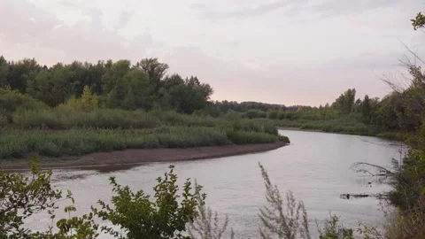River in summer Stock Footage 248462013