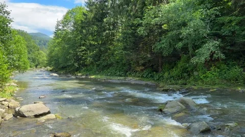 The river in summer forest and the sun shining through the foliage, blue cold Stock Footage 251822901