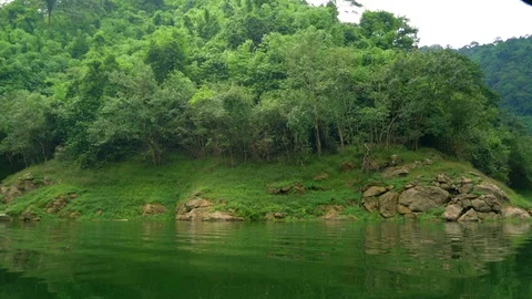 River in summer forest Stock Footage 94423245