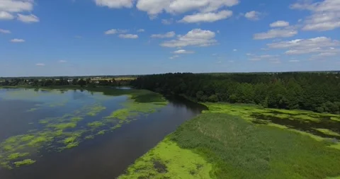 River in summer with green algae Stock Footage 265859457