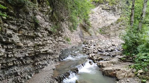River In Summer Green Forest. Small Waterfall With Crystal Clear Video Stock Footage 291549469