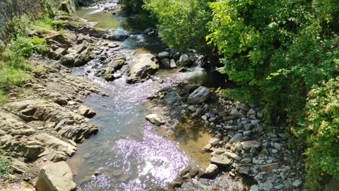 River In Summer Green Forest. Small Waterfall With Crystal Clear Video Stock Footage 291549471