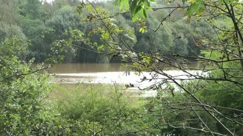 River in summer with high flood flood waters Stock-Footage 12603156