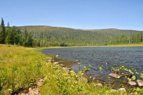 River summer landscape. Stock Photos