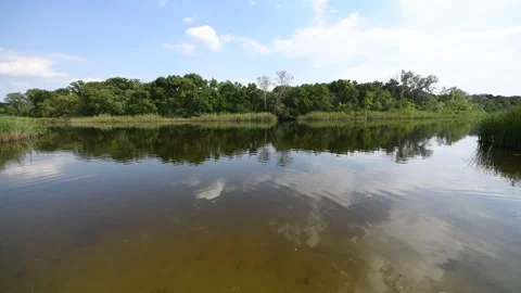 River summer landscapes. Stock Footage 261168964