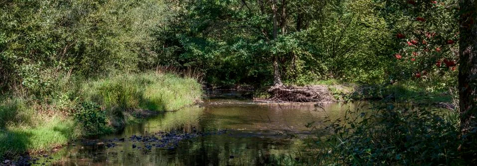 River in summer Stock Photos