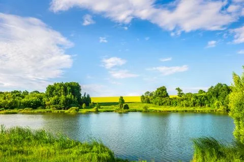 River in summer Foto stock