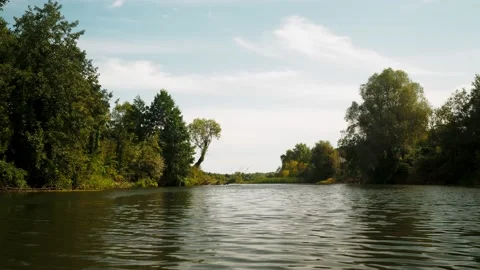 River in summer. reflection of trees in the water. panorama from the water. summ Video stock 158857363