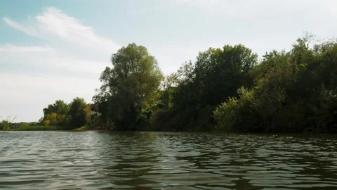 River in summer. reflection of trees in the water. panorama from the water. summ Video stock 158857452