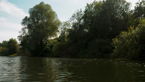 River in summer. reflection of trees in the water. panorama from the water. summ Video stock 158857530