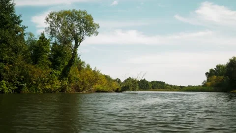 River in summer. reflection of trees in the water. panorama from the water. summ Video stock 158857675